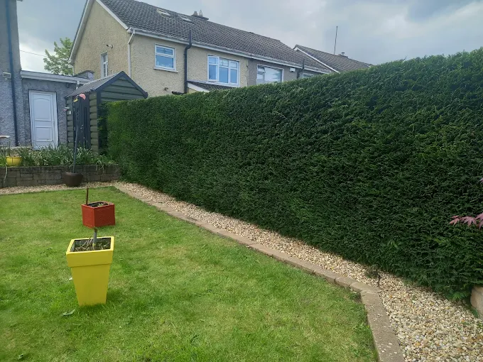 Premium timber fencing and landscaped garden in Dublin